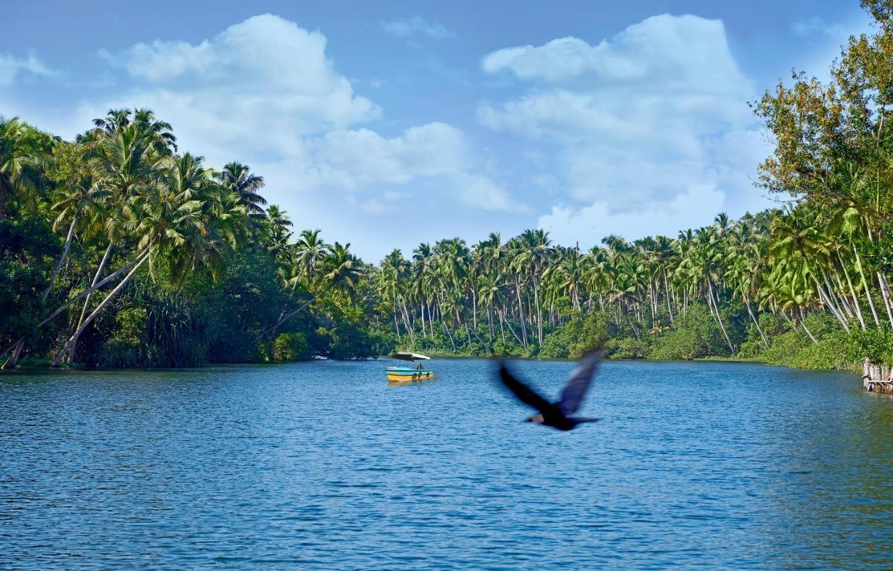 Estuary Sarovar Premiere Poovar Island Buitenkant foto